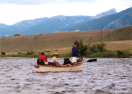 Guided fly fishing on the Madison.