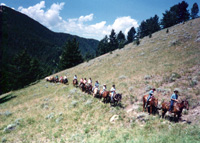 High country day rides.