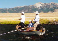Fly Fishing Montana