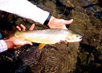 Successful fishing trip.