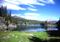 Beautiful summer day in Yellowstone.